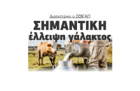 Διαπιστώνει ο ΣΕΒΓΑΠ σημαντική έλλειψη γάλακτος