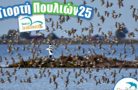 Ευρωπαϊκή Γιορτή των Πουλιών-Την Κυριακή στη Λίμνη Κερκίνη