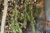 Θεσσαλονίκη: Συνελήφθησαν 3 άτομα για διακίνηση ναρκωτικών ουσιών