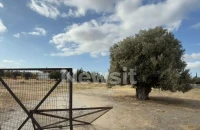 Άγρια συμπλοκή σε κρητικό γλέντι στη Μεταμόρφωση: Έβγαλαν μαχαίρια λόγω προτεραιότητας – Στο νοσοκομείο 4 άτομα