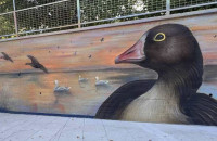 Οι Νανόχηνες «προσγειώθηκαν» στα σχολεία της Αλεξανδρούπολης!