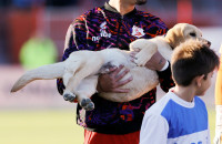 Ο Πανσερραϊκός μπήκε με σκύλους οδηγούς στην Παγκόσμια ημέρα ζώων!