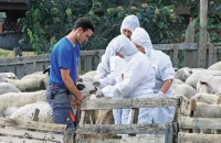 ΠΑΣΟΚ Σερρών -Η αιγοπροβατοτροφία σε οριακό σημείο