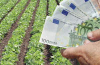 Οι πληρωμές στους αγρότες μόλις 363 εκατ. Ευρώ - 45.000 αγρότες δεν πήραν την επιδότηση