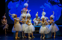 Η ΕΛΣ στο ΔΗΠΕΘΕ Σερρών με 3 παραγωγές για κάθε ηλικία