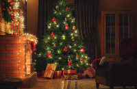 Στολίζετε Χριστουγεννιάτικο δέντρο; Μάθετε τι πρέπει να προσέχετε!