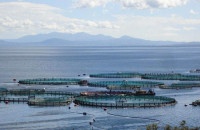 Ξεκινά νέο πρόγραμμα 26 εκ. ευρώ για τη μεταποίηση προϊόντων αλιείας και υδατοκαλλιέργειας