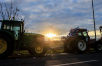 Στήριξη άνω των 175 εκατ. ευρώ στον πρωτογενή τομέα