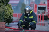 Πυρκαγιά σε διαμέρισμα στη Θεσσαλονίκη - Πέθαναν από ασφυξία επτά γάτες