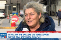 Ελπίδα Σιδηροπούλου: Τα μπλόκα της Ελλάδας στο Νομό Σερρών - Έχουμε πάλι κρούσματα ευλογιάς