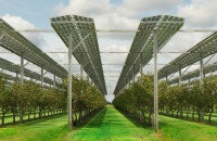 Γιώργος Στάμτσης - Σέρρες: Ριγμένη η Κεντρική Μακεδονία και ο νομός Σερρών στα αγροφωτοβολταϊκά