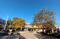 Ο Παναγιώτης Σαββίδης νέος Πρόεδρος του Φυσιολατρικού Συλλόγου Νέου Πετριτσίου