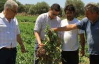 ΠΕΓΔΥ: Οι Γεωπόνοι δεν εκφοβίζονται