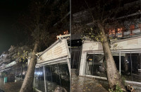 Ηγουμενίτσα: Τεράστιο πλατάνι έπεσε σε ταβέρνα από τους ισχυρούς ανέμους