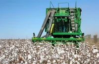 Συνεργασία ΥΠΑΑΤ – Διεπαγγελματικής Οργάνωσης Βάμβακος για τη μείωση του αποτυπώματος άνθρακα