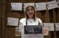 Άρχισε να ξεθωριάζει το «φωτοστέφανο» της Καρυστιανού;