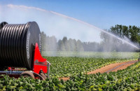 Πανελλήνια Ομοσπονδία Γεωτεχνικών Δημοσίων Υπαλλήλων -Αγροτική ανάπτυξη ή πολιτικό άλλοθι;