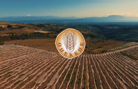 Διευκρινίσεις του ΟΠΕΚΕΠΕ για τη διαδικασία ενστάσεων για τα αγροτεμάχια χωρίς ΚΑΕΚ και το Μέτρο 23