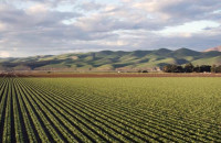 ΠΟΓΕΔΥ -Χωρίς ελέγχους δεν υπάρχει αγορά και στις Βρυξέλλες το κατάλαβαν