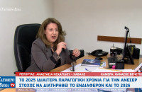 Ελένη Τριανταφύλλου (Γενική Διευθύντρια της ΑΝΕΣΕΡ): Ιδιαίτερα παραγωγική χρονιά το 2025