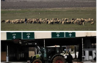 Λαϊκή Συσπείρωση: Πρόταση για απαλλαγή αγροτοκτηνοτρόφων από τα δημοτικά τέλη