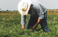 ΠΟΓΕΔΥ- Όταν η έρευνα προχωρά, η διαφάνεια οφείλει να προηγείται