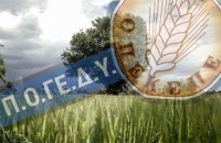 ΠΟΓΕΔΥ: Όταν η «μεταρρύθμιση» καταρρέει, ο “Βασιλιάς Ήλιος” οφείλει να λογοδοτήσει»