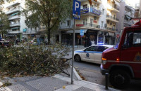 Θεσσαλονίκη: Πτώσεις δέντρων και δεκάδες κλήσεις για βοήθεια από τους ισχυρούς ανέμους