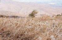 Σέρρες - Για οικόπεδο που δεν καθάρισε ο Δήμος δεν πληρώνει το πρόστιμο της πυροσβεστικής