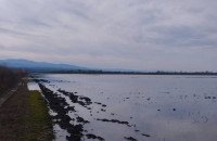 Ερώτηση Μυλόπουλου για τις πλημμύρες στον Δήμο Αμφίπολης