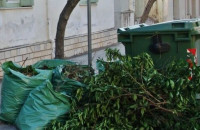 Δημήτρης Μιχτσόγλου -Έκκληση στους δημότες να μην ρίχνουν μέσα στους κάδους ξερά χόρτα και κλαδιά