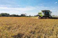 Για τη βιωσιμότητα της καλλιέργειας ρυζιού «Συναγερμός» στην Περιφέρεια Κεντρικής Μακεδονίας