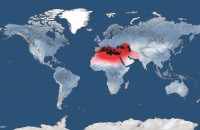 Γιώργος Βεζυργιανίδης: H αποπολιτικοποίηση και οι υπεύθυνοι