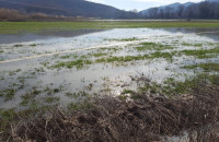 Δήμος Σερρών: Μέχρι τη Παρασκευή δικαιολογητικά για τις αποζημιώσεις