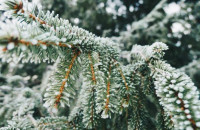 Όλα αλλάζουν μέσα σε ένα χρόνο∙ ακόμα κι οι άνθρωποι που αγαπάς