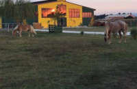 «διασκεδάΖΟΥΜΕ την Αποκριά»  Για το ΚΕΘΙΣ Σερρών