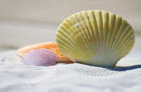 Τι σημαίνουν οι καλοκαιρινές διακοπές για ένα παιδί – ειδικά φέτος το καλοκαίρι