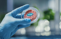 Το νέο κρέας θα καλλιεργείται. Θα είναι νηστίσιμο;