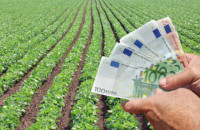 Πληρώνει  ο ΕΛΓΑ  για τον «παγετό Άνοιξη ‘21»