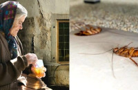 Το παλιό κόλπο της γιαγιάς, για να εξαφανίσεις τις κατσαρίδες από το σπίτι σου, ακόμη και για μήνες