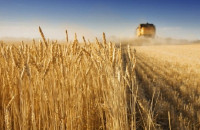 Ποια τρόφιμα θα ανατιμηθούν εξαιτίας του πολέμου