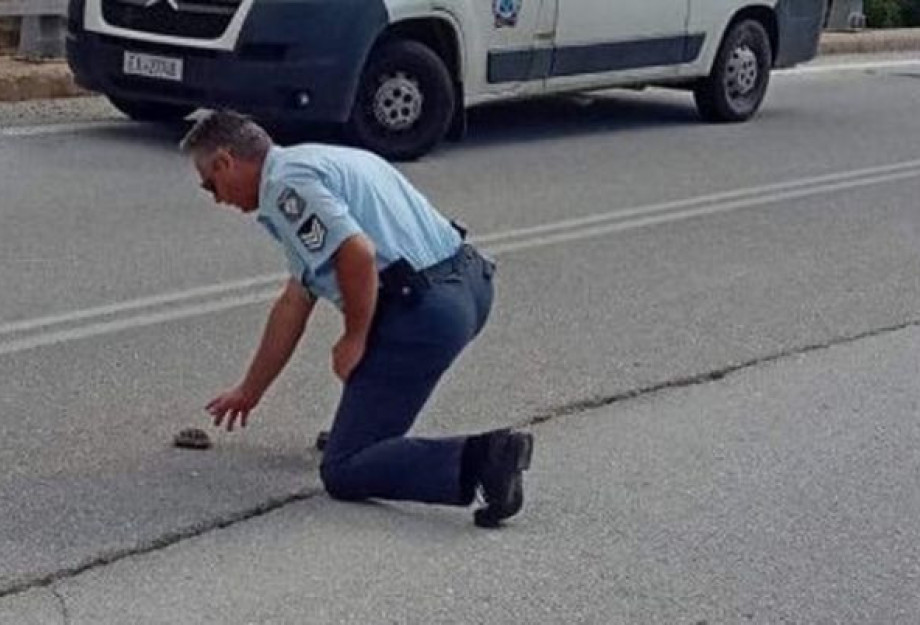 ΚΟΖΑΝΗ:VIRAL ΕΓΙΝΕ Ο ΑΣΤΥΝΟΜΙΚΟΣ ΠΟΥ ΒΟΗΘΗΣΕ ΧΕΛΩΝΑΚΙ ΝΑ ΠΕΡΑΣΕΙ ΤΟΝ ΔΡΟΜΟ! ΚΟΖΑΝΗ:VIRAL ΕΓΙΝΕ Ο ΑΣΤΥΝΟΜΙΚΟΣ ΠΟΥ ΒΟΗΘΗΣΕ ΧΕΛΩΝΑΚΙ ΝΑ ΠΕΡΑΣΕΙ ΤΟΝ ΔΡΟΜΟ!