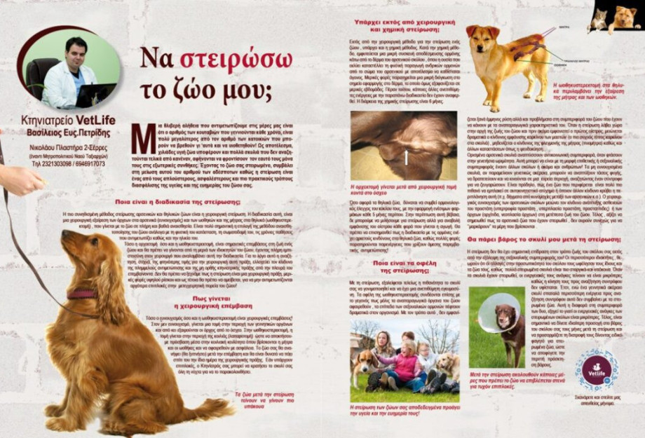 ΝΑ ΣΤΕΙΡΩΣΩ ΤΟ ΖΩΟ ΜΟΥ; ΝΑ ΣΤΕΙΡΩΣΩ ΤΟ ΖΩΟ ΜΟΥ;