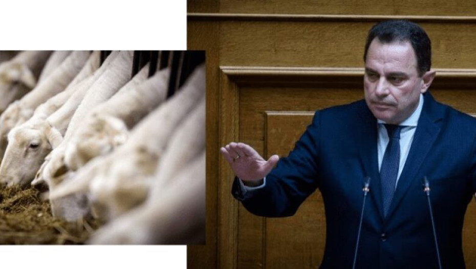 Για αγορά ζωοτροφών: Με τροπολογία Γεωργαντά 45 εκατ. ευρώ στους κτηνοτρόφους