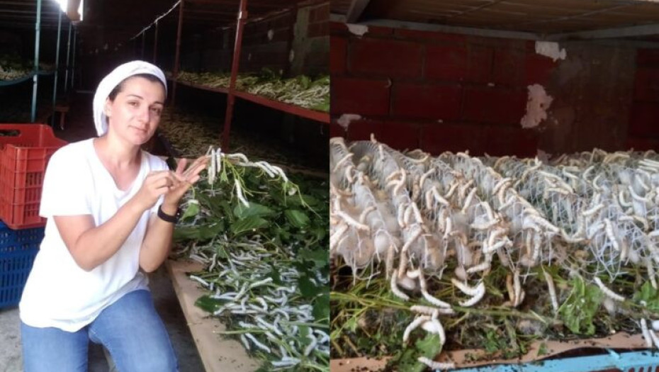 Άννα Καλτσίδου: Η 40χρονη Σερραία Επανέφερε Την Εκτροφή Μεταξοσκώληκα!