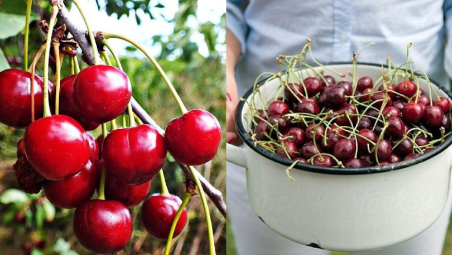 Οι ευεργετικές ιδιότητες των κερασιών που δεν γνωρίζαμε