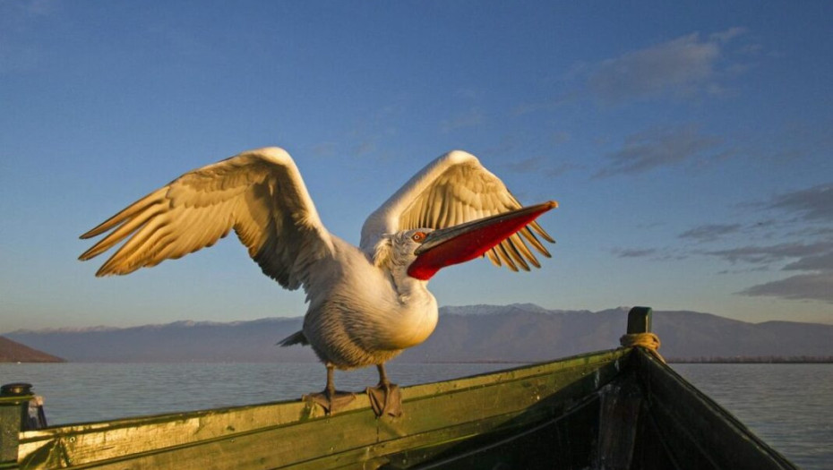 Στην Ηράκλεια 13-15 Μαΐου: Διημερίδα για το Περιβάλλον