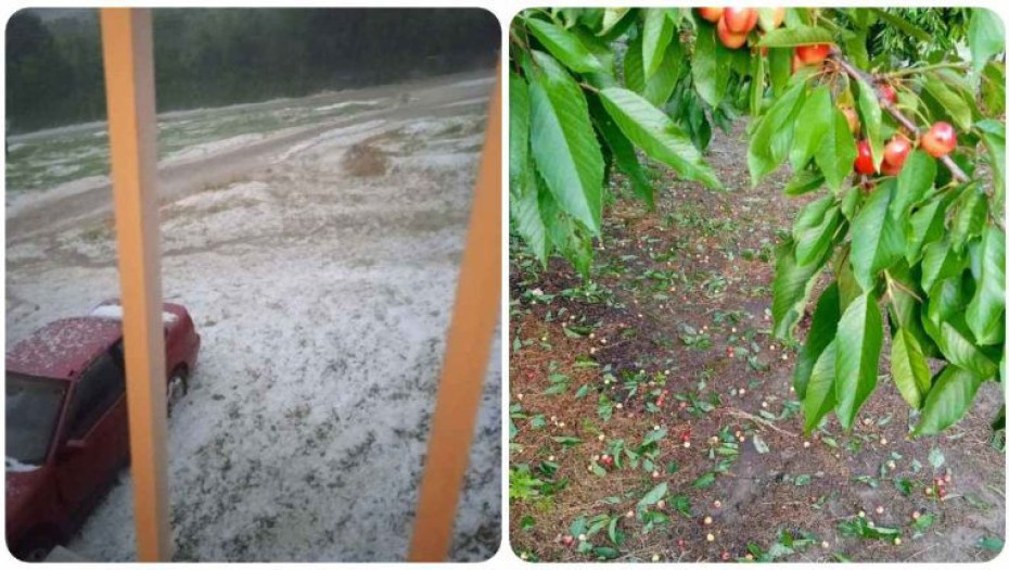 Έντονη η χαλαζόπτωση στην Αναστασιά: ‘Πάνε’ τα …κεράσια