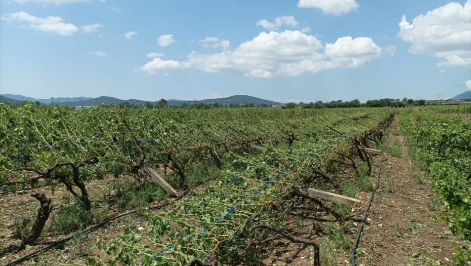 Η νύχτα του Αγίου Βαρθολομαίου στο Παγγαίο