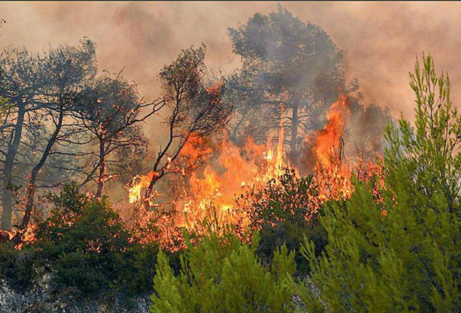 ΟΙ ΚΑΛΟΚΑΙΡΙΝΕΣ ΠΥΡΚΑΓΙΕΣ- Γράφει ο Γιώργος Βεζυργιαννίδης ΟΙ ΚΑΛΟΚΑΙΡΙΝΕΣ ΠΥΡΚΑΓΙΕΣ- Γράφει ο Γιώργος Βεζυργιαννίδης